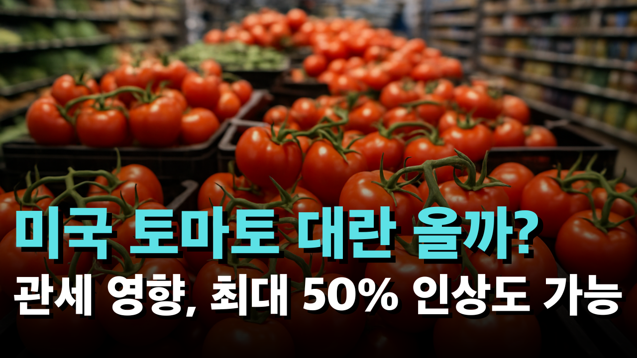 멕시코산 토마토에 대한 무역합의 종료 시, 미국 내 토마토 가격 최대 50% 급등 가능성